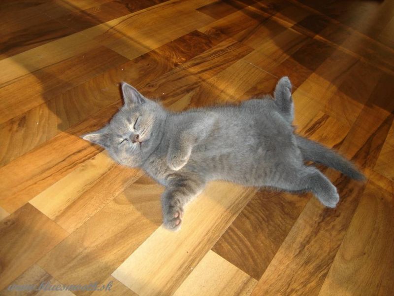 2007_10_21_maciatka023.jpg