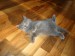 2007_10_21_maciatka023.jpg